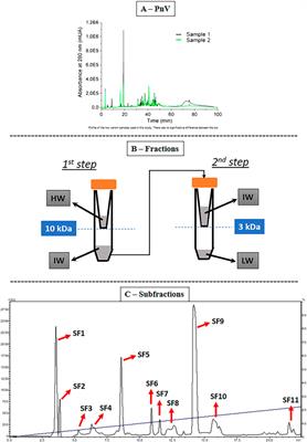 Isolated Components From Spider Venom Targeting Human Glioblastoma Cells and Its Potential Combined Therapy With Rapamycin